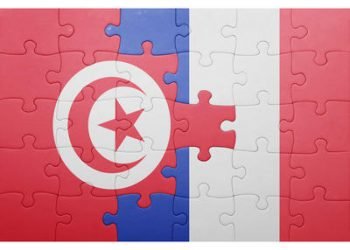 French Foreign Policy and Tunisia: Do Human Rights Matter?