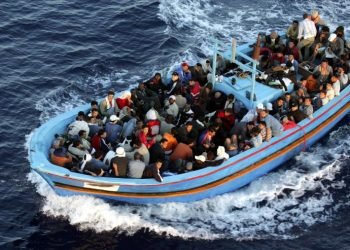 DCT Organizes Webinar on Migration to Europe