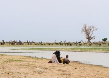 Lake Chad, a journey between anvil and hammer