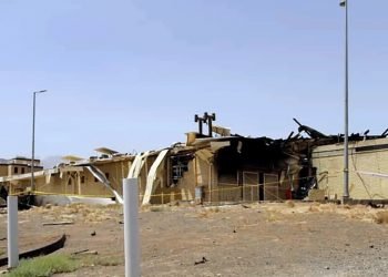 Netanyahu as Erdoğan: Populists Struggle for a Global Conflict