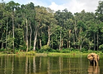 60 Jahren Diktatur und 200 Jahren Kriegen, Sklaverei und Schmuggel: Willkommen in Kongo