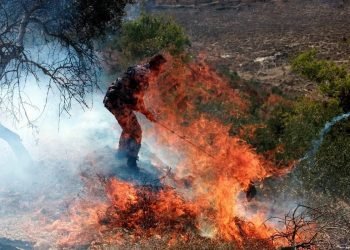 Wie Ägypten und Israel Palästina gemeinsam vernichten