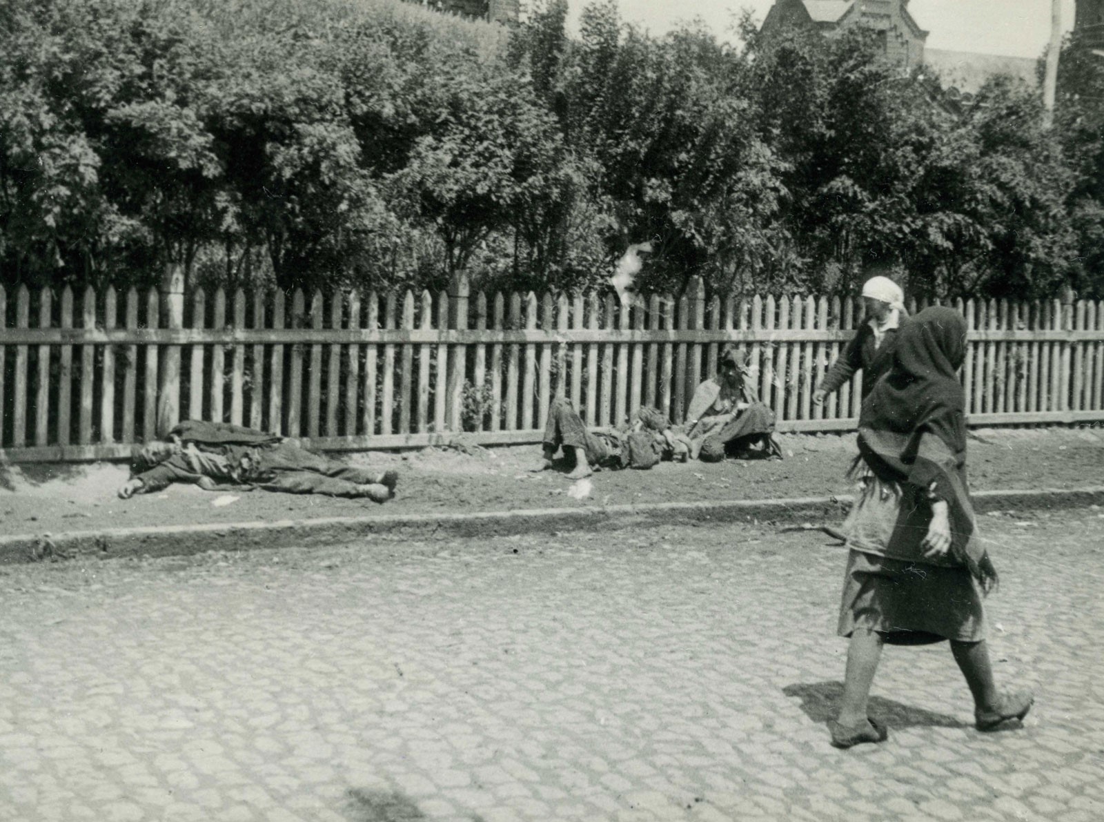 Ukrainian Holodomor between myth and reality