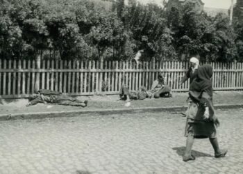 Der ukrainische Holodomor zwischen Mythos und Realität