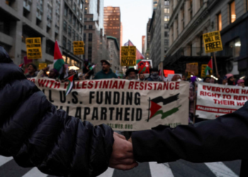 The transformation of American public opinion on Palestine