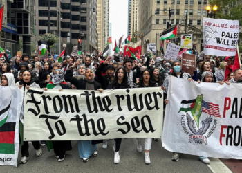 The support of Arab world for Palestine to win the war of liberation