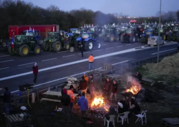 Farmers in France expect protests against the EU-Mercosur deal