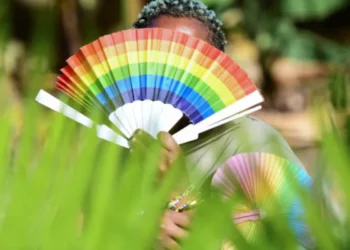 Western influence The rise of anti-LGBTQ+ movements in Africa