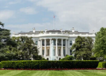 American environmental lobbying under Trump’s administration