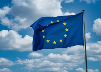 EU Lobbying Shaping policy & influence