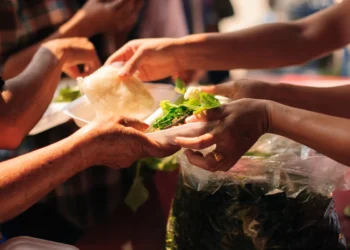 The hidden lobby How corporations use charities to shape policy