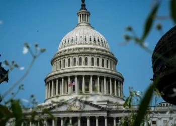 Medtech giants boost DC lobbying amid policy shifts