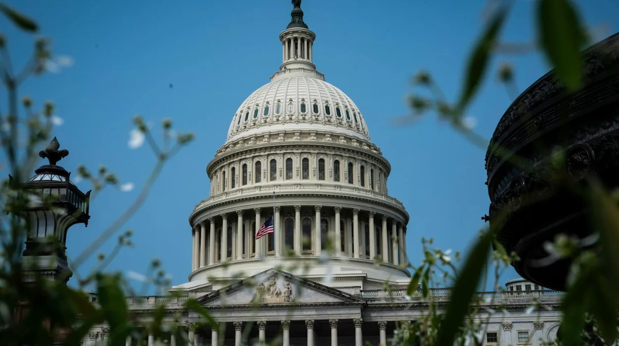 Medtech giants boost DC lobbying amid policy shifts