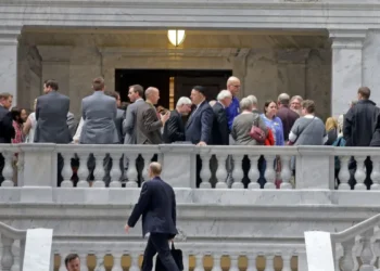 Cons of lobbying and interest groups: Examining the negative effects of influence