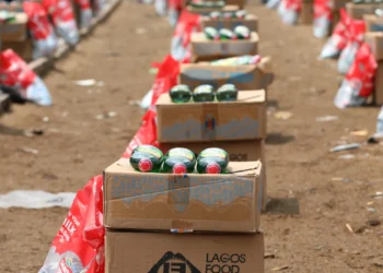 US Aid Amid Nigeria’s Hunger Crisis: Is $32.5 Million Enough?