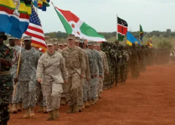 Balancing security and commerce: US immigration and foreign policy in Africa