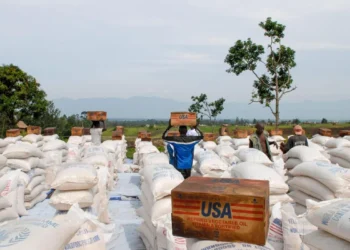 Ending US Aid to Africa Could Cost Millions of Lives