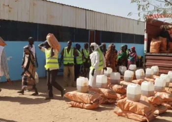 From Bluster to Barrier: Decoding US Immigration Freeze's Impact on African Flows