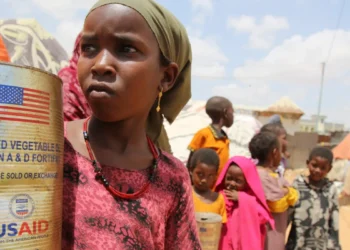 How US Aid Cuts Reshape Africa’s Health Programs and Invite New Political Actors?