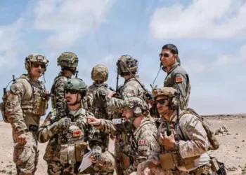 Missing U.S. Troops in Morocco Raise African Lion Safety Questions