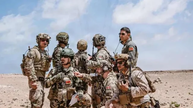 Missing U.S. Troops in Morocco Raise African Lion Safety Questions