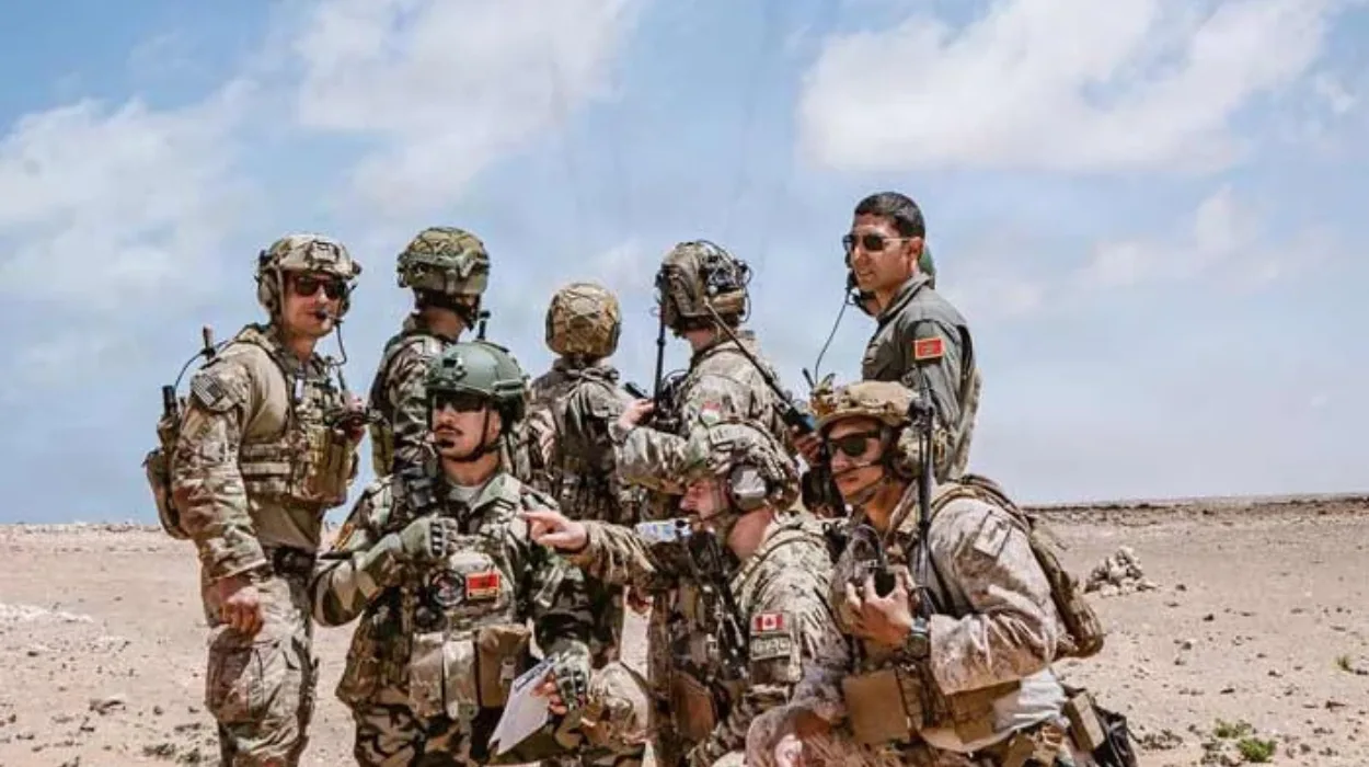 Missing U.S. Troops in Morocco Raise African Lion Safety Questions