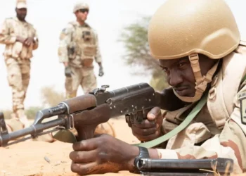 Role of the US African Diaspora Amid Washington’s Strategic Retreat from Africa