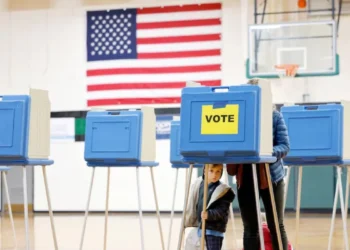 Supreme Court Revives Trump Voter Verification System
