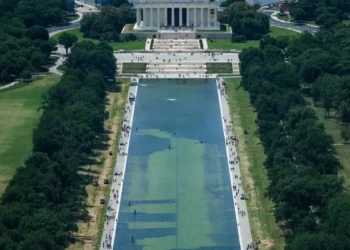 Trump Reflecting Pool: $14 Millionen-Neubau scheitert, während Algenblüte und Vandalismus-Behauptungen auftauchen