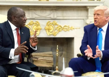 Trump reveals why US skipped G20 Summit in South Africa: 'Killing white people' 